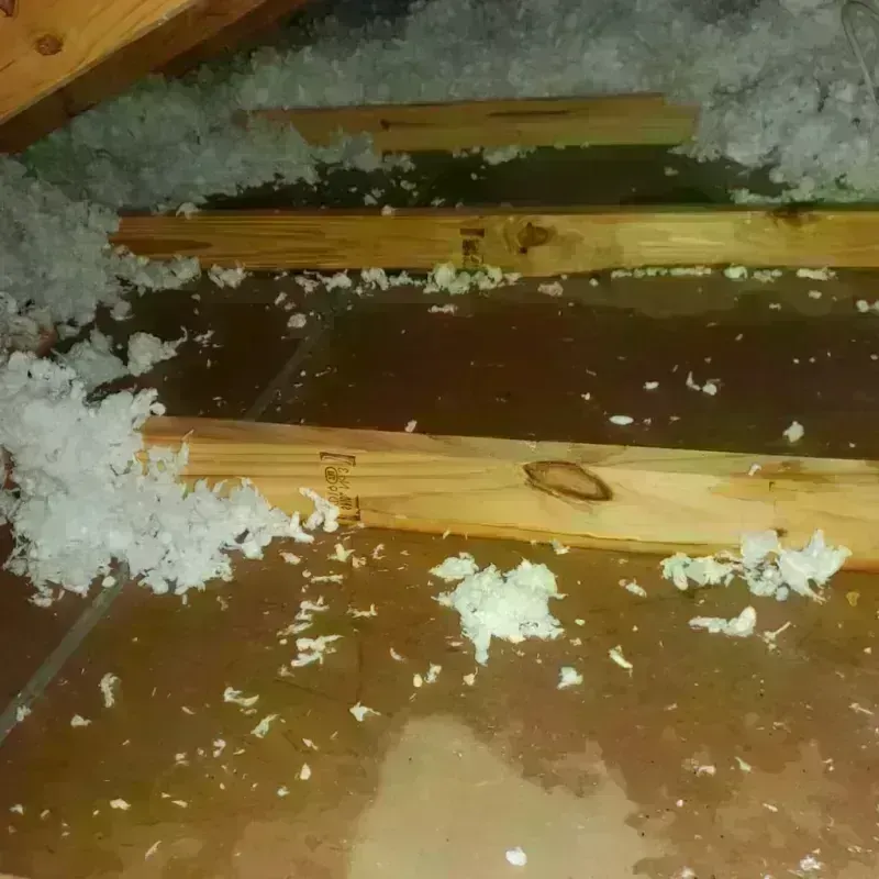 Attic Water Damage in Struthers, OH